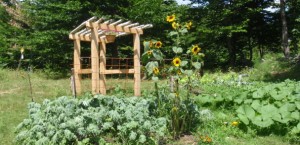 Wedding Arbor back home in the Garden