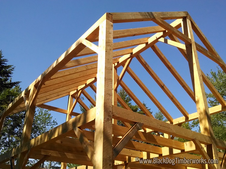 how to build a storage shed: frame - youtube