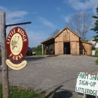 Grown Free Barn